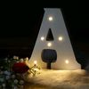 4488mlight