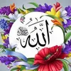 user17158248749945