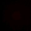 maykel_441