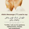 mohamedabdi8125