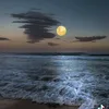 hiba.hiba3934