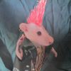 averyeugenekrabs