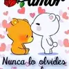 22antonio44