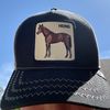 jakemayer_7208