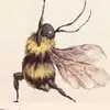 humbleebee83