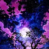 co_don_020