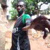 lsamajinsalsa katende