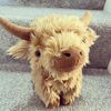 cutpet farm