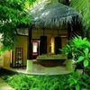 user8084576131986