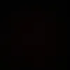 user8263081746