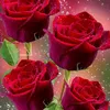 user8600212220924