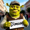 dima_223.m