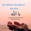 hamdansayed635