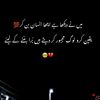 shahidalih455