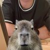 DoubleACreative