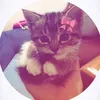 tania_gbne
