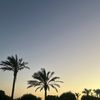 aishakhalid1623