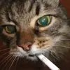 xuuaowpa_10203