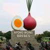 wartogunawan1