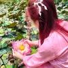 bemon_127