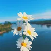 quynh070512