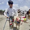 malikarshad6676