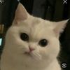 userz7h0nq254b