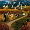 alisidi002