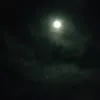 joeloseias2