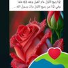 userc5avvif47j