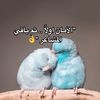 jamool38