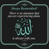yazidmuhammad28