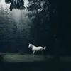 ooh_74