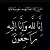 user7634554081060