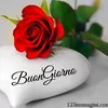 lelinandreetto