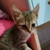 adelina__oliveri892
