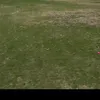izzamohamed12354
