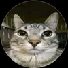 santux_04