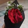 adam.ali858
