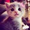 flowerraa.__