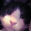 user3417147051608