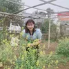 hoanganh12089