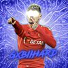 gxbiihard