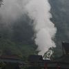 cicakkebo