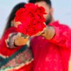 tamim.ahmed641