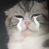 thichanhlama_._