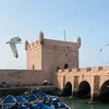 hicham_elx