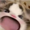 miinhh_hoangg