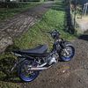 hanree_55
