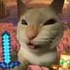 _vquaan